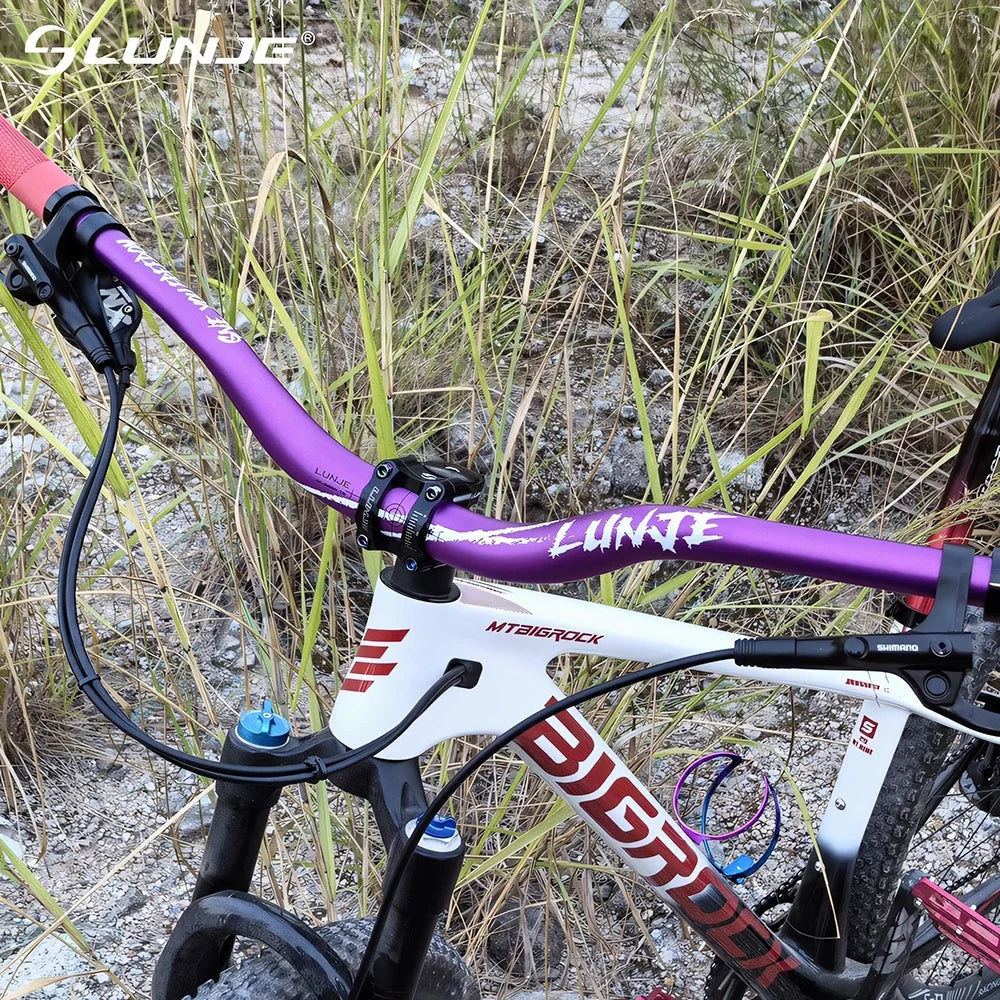 Riser Handlebars